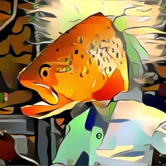 Dr. Forel
