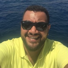 Sameh S. Fahmy