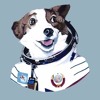 avatars-000230502598-6ienas-