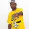 Mc Windson