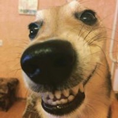 Ivan Penchev Denchev