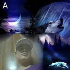 Tuan Anh Le Tuan