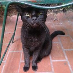 Jackie