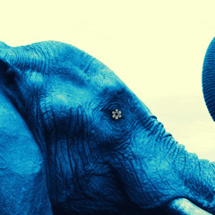 Phant