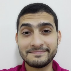 Mahmoud Sayed Ahmed 1