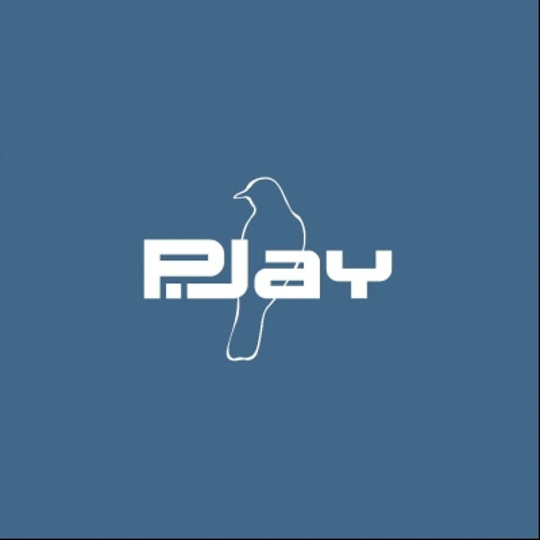 Stream p jay 9411 music | Listen to songs, albums, playlists for