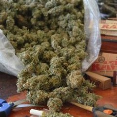 supahkushgahd