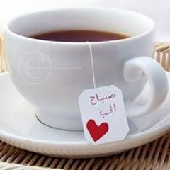 Mohamad Abed