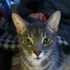 Kitty29lovely