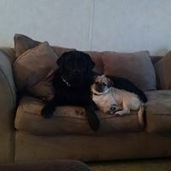 Jen Thurston Bridges