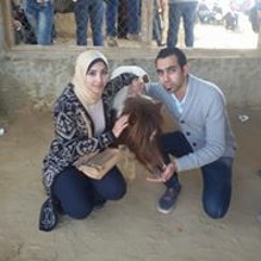 Ahmed Basem