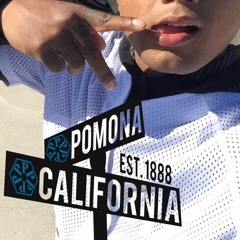Smith N West Pdawg