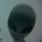 User 312642100