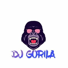 DjGorilaEDM