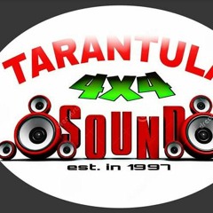 TARANTULA 4X4 SOUND usa/ja