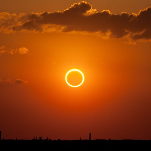 Sol.Circle’s avatar