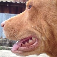 โป้น้อย บ้านเด็กอ่อน