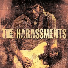 THE HARASSMENTS