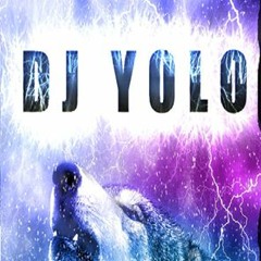 dj yolo