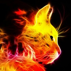 Fire8776