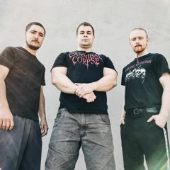 Brain Drill | Metal Bands Info