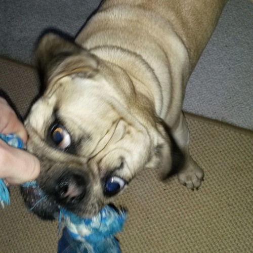 Stream 01pan potdance department (538)cable031220111king by