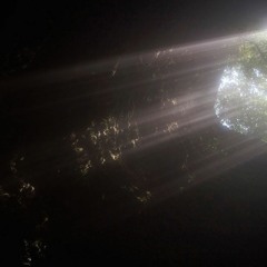 mileselam's lost tunes