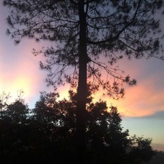 Wayan Ayu Widiaratna