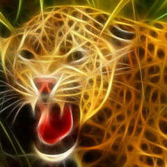 tigeroe