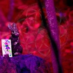 embodied_seer
