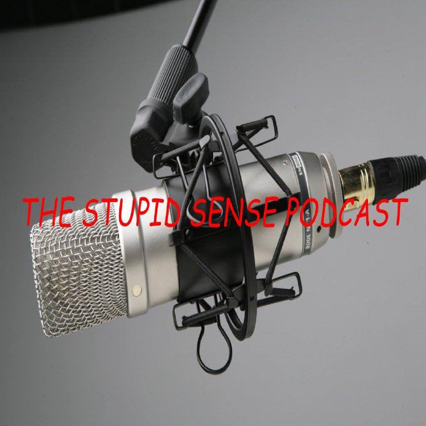 Stupid Sense Podcast