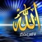 Abd Alrhman Mohamed Ali
