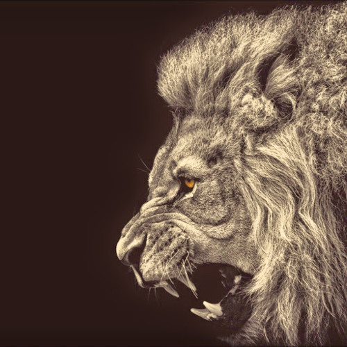 lion power’s avatar