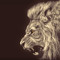 lion power