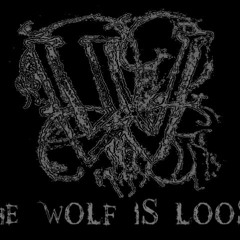 The Wolf Is Loose