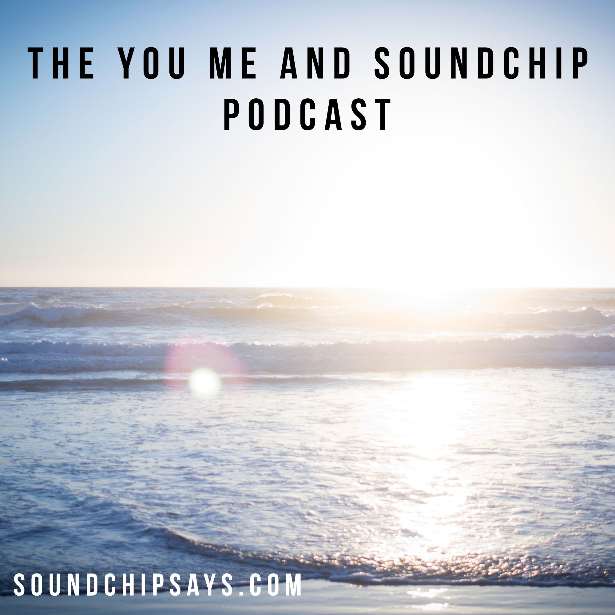 The You, Me, & Soundchip Podcast