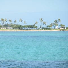 Oriental Pacific ♥