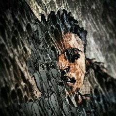 Sanele Harry Wayne