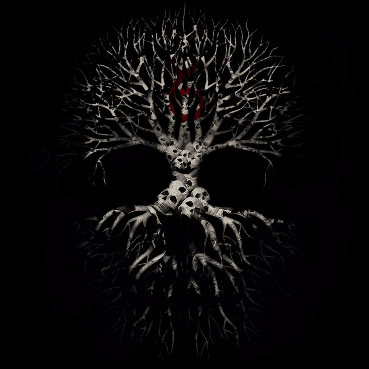 [AMATORY]