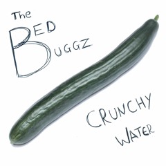 The BedBuggz