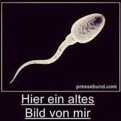 ------------------------------------------