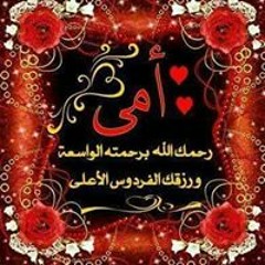 بودي الطائر