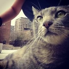 HaangCue Qurious Choi