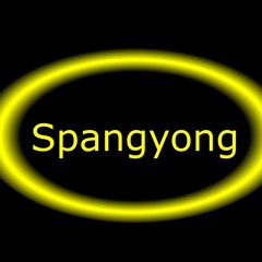 Spangyong