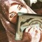 Wafaa Esam