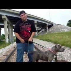 E-Rippa (Hambo Nakazawa)