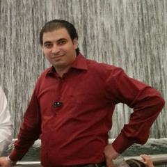 AMER AL-RADAIDEH