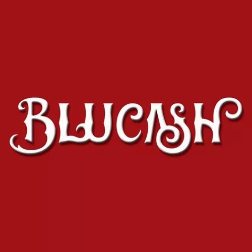 Blucash’s avatar