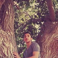 AbdElrahman AboKebsha