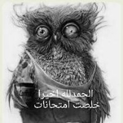 Heba S. Ismail